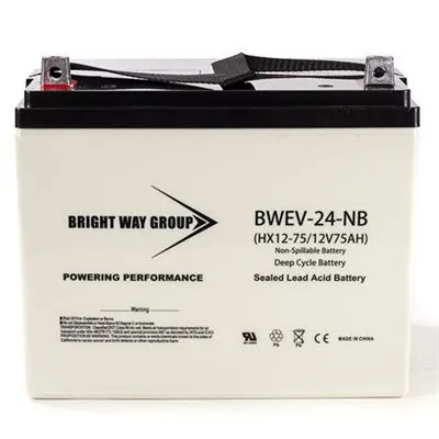 BWG HIGH PERFORMANCE AGM BATTERY 12V/75AH (L POST) GROUP SIZE 24