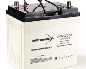 BWG High Performance AGM Battery 6V/220AH Golf Cart/Marine/RV/Solar Group Size GC-2
