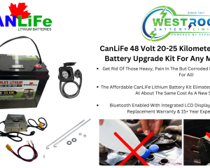 48V lithiim golf cart battery